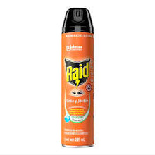 Insecticida Raid Casa Y Jardín 285 Ml