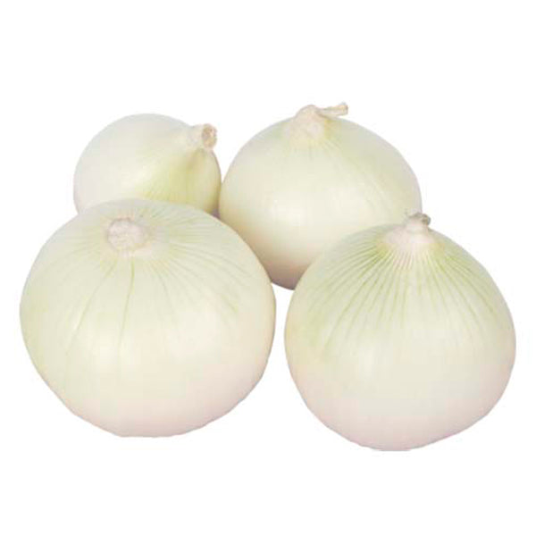 Cebolla blanca kg