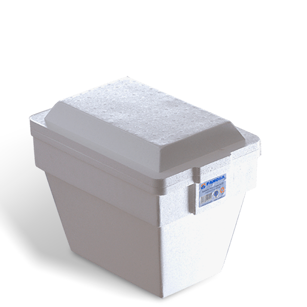 Hielera fanosa  x30