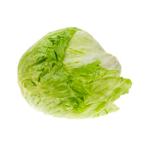 Lechuga bola pza