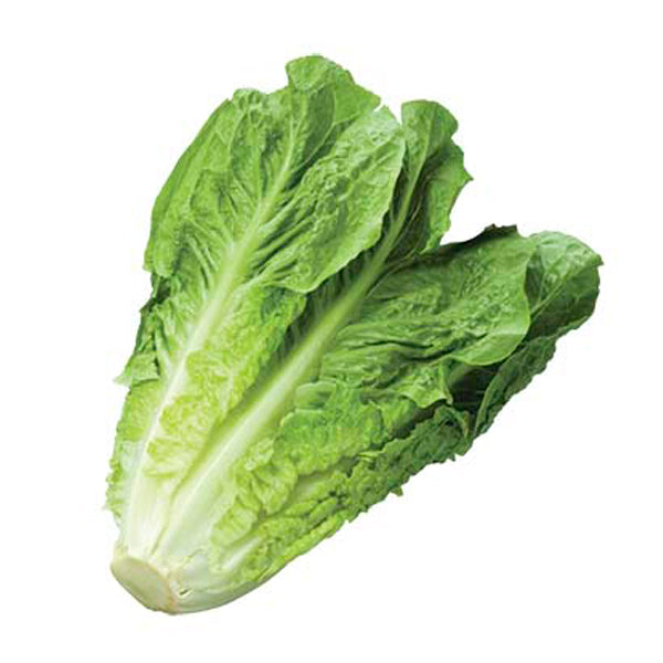 Lechuga orejona pza