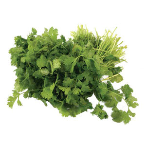 Cilantro pza