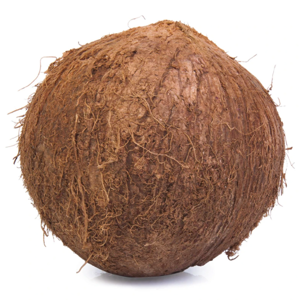 Coco pza