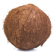 Coco pza
